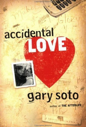 Accidental Love pdf